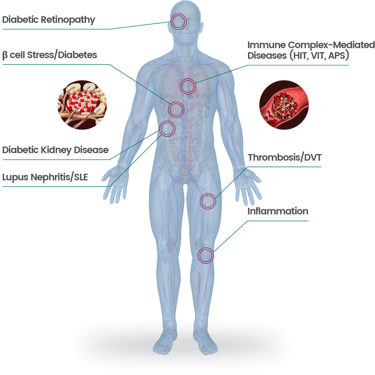 Home - Veralox Therapeutics